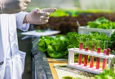 蔬菜掃一掃可知安全 武漢創(chuàng)“互聯(lián)網＋農業(yè)”新平臺